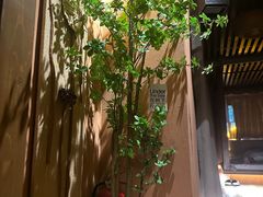 -泰·菩提树下[泰式按摩x精油SPAx肩颈头疗](新景店)