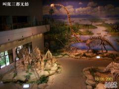 -自贡恐龙博物馆