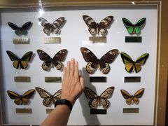 -上海昆虫博物馆