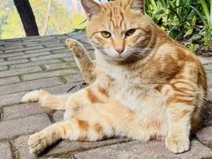 -白云山风景名胜区