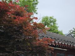 -三里河公园
