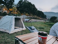 -风云岭森林公园