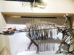 -国家自然博物馆