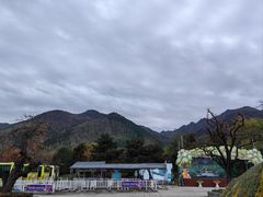 -西安秦岭野生动物园