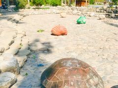 -快活林烧烤(红新路店)