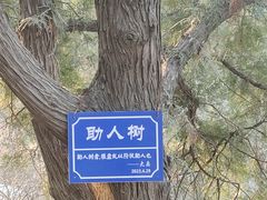 -佛慧山