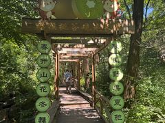 -大岭沟猕猴桃谷风景区