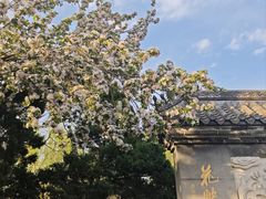 -桃花堤公园