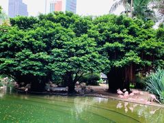 -九龙公园