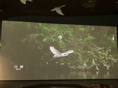 -中国湿地博物馆