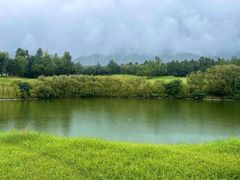 -西山漾湿地公园