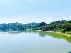 -福建鲤鱼洲酒店