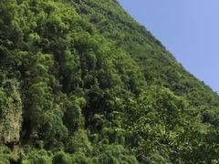 -阿依河景区