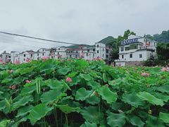 -江南第一家