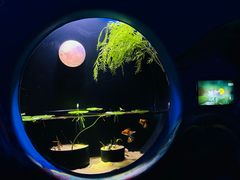 -欢乐海岸海洋奇梦馆