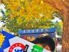 -富斯特索道