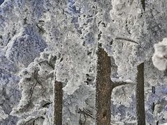 -湖州龙王山景区