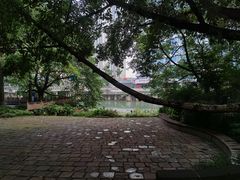-成都市活水公园