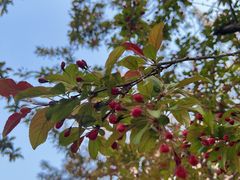 -元大都城垣遗址公园