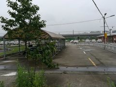 -胜华驾校·小猫学车(银都店)