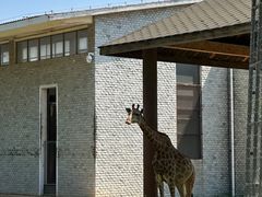 -石家庄市动物园