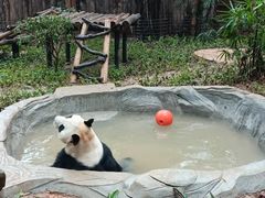 -深圳野生动物园