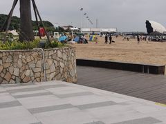 -碧海金沙
