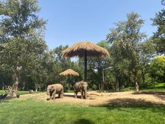 -北京野生动物园