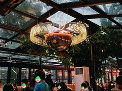 -海岛八号龙虾烧烤田鸡(蓝天路总店)