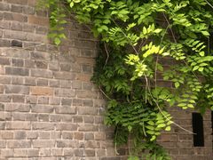 -嵩祝寺及智珠寺