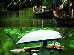 -西溪国家湿地公园