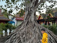 -西双版纳傣族园