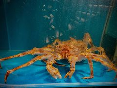 -蟹田居·活蟹料理(东城店)