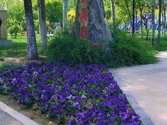 -武清南湖绿博园