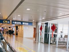 -上海浦东国际机场-T2航站楼
