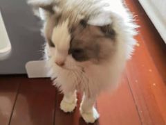 -狗舍宠物医院(四季商业广场店)