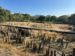 -河姆渡遗址博物馆