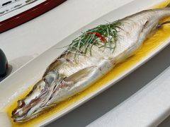 -谷语中餐厅