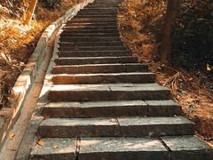 -火炉山森林公园