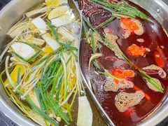 -重庆故事姊妹老火锅(财经学院店)