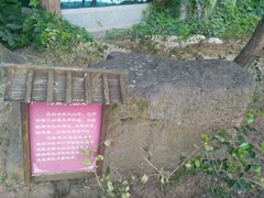 -观唐（国际）度假村温泉