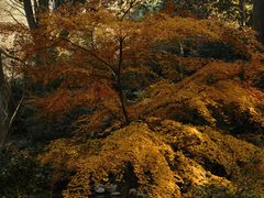 -中国茶叶博物馆(双峰馆区)