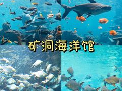 -长鹿旅游休博园