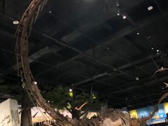 -国家自然博物馆