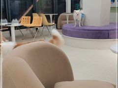 -怪兽屋·羊驼·猫咖·狗咖(俊华广场店)