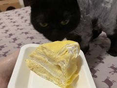 -幸福西饼生日蛋糕·下午茶(思明店)