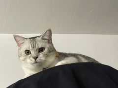 -味多美蛋糕(旧头路店)