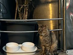 -灶咖KITCHEN