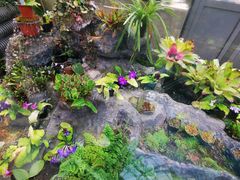 -国家植物园南园