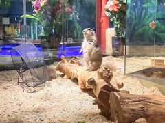 -昆明大悦城未来动物城(螺蛳湾中心店)